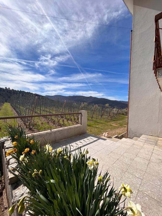 Casa Vicente Villa Lamego Eksteriør bilde