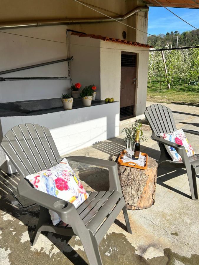 Casa Vicente Villa Lamego Eksteriør bilde