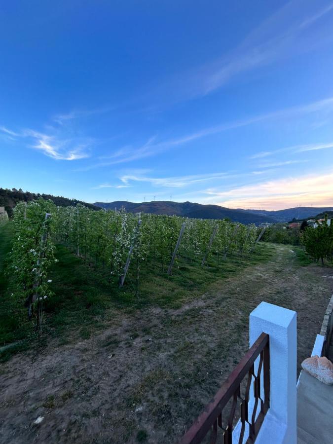 Casa Vicente Villa Lamego Eksteriør bilde