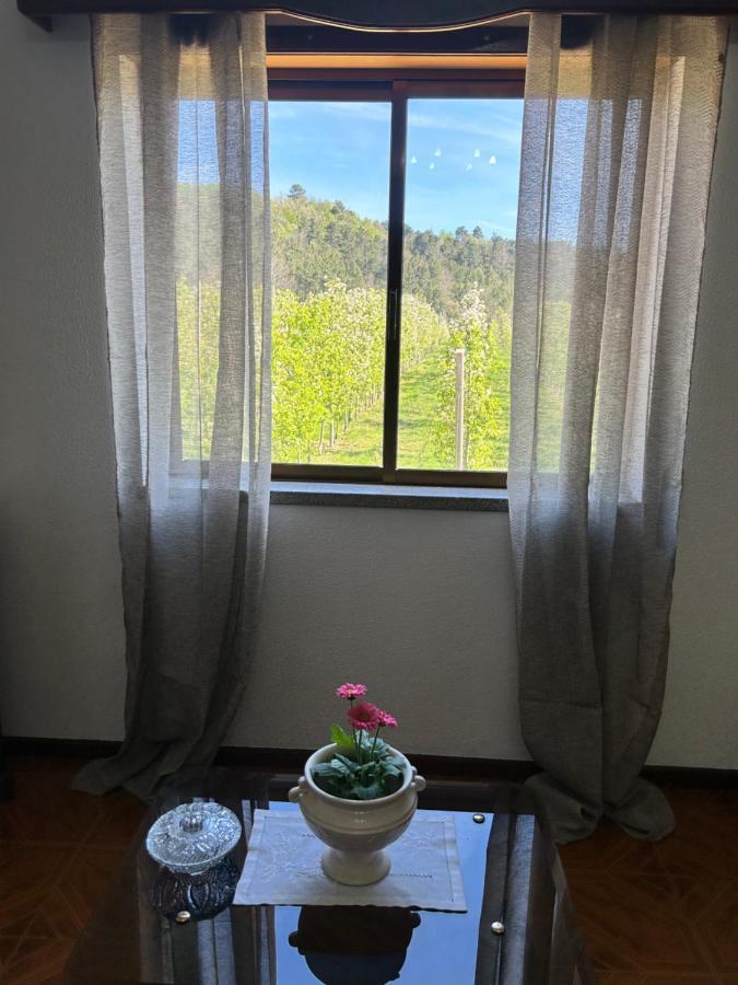 Casa Vicente Villa Lamego Eksteriør bilde