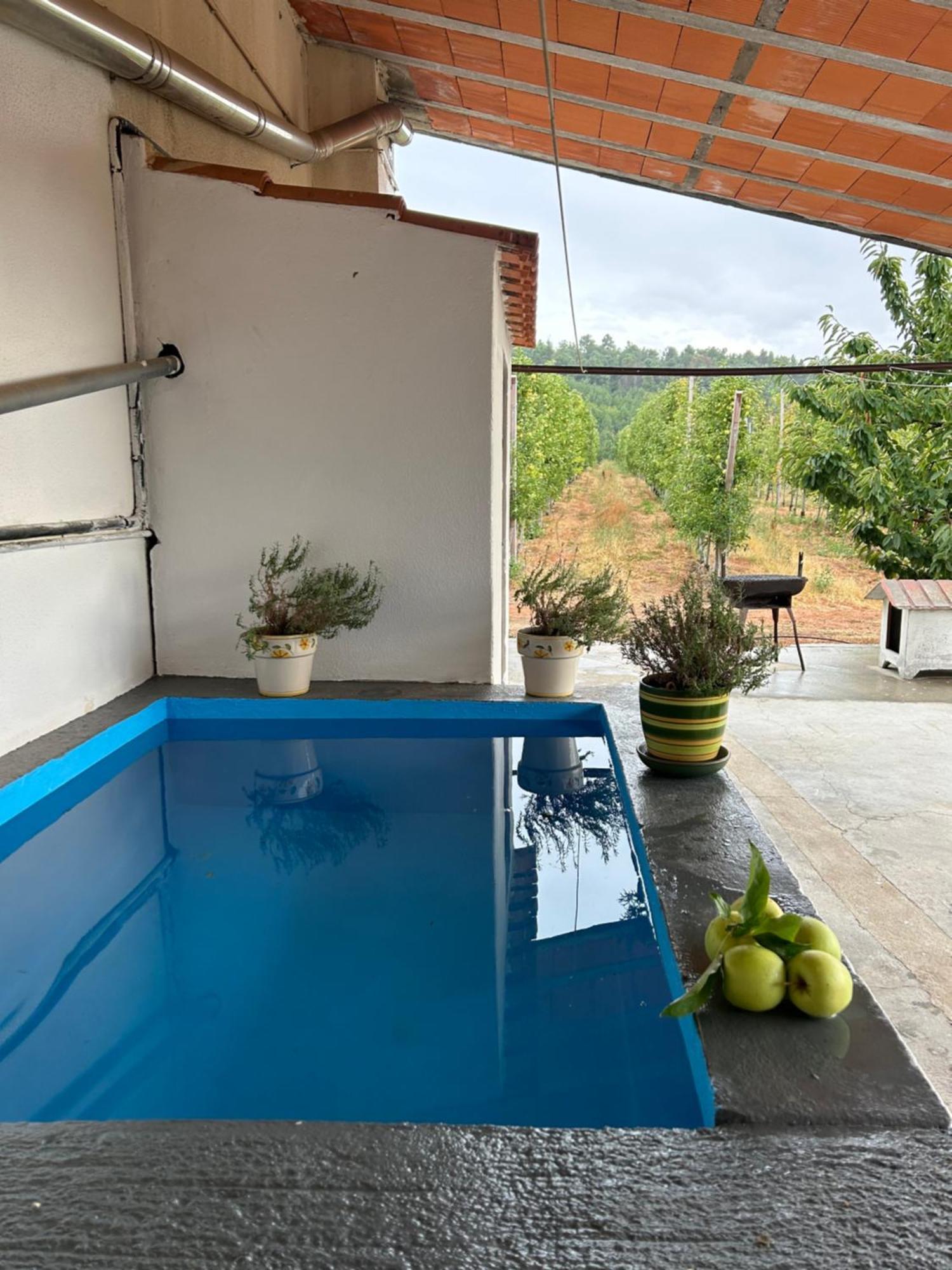 Casa Vicente Villa Lamego Eksteriør bilde