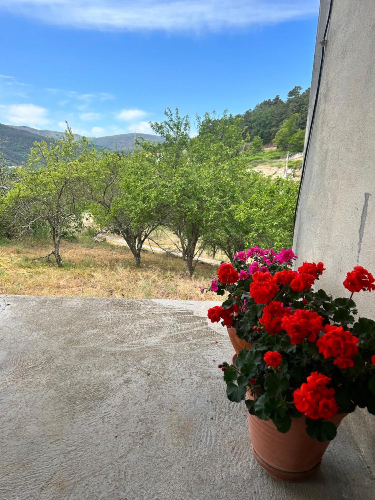 Casa Vicente Villa Lamego Eksteriør bilde