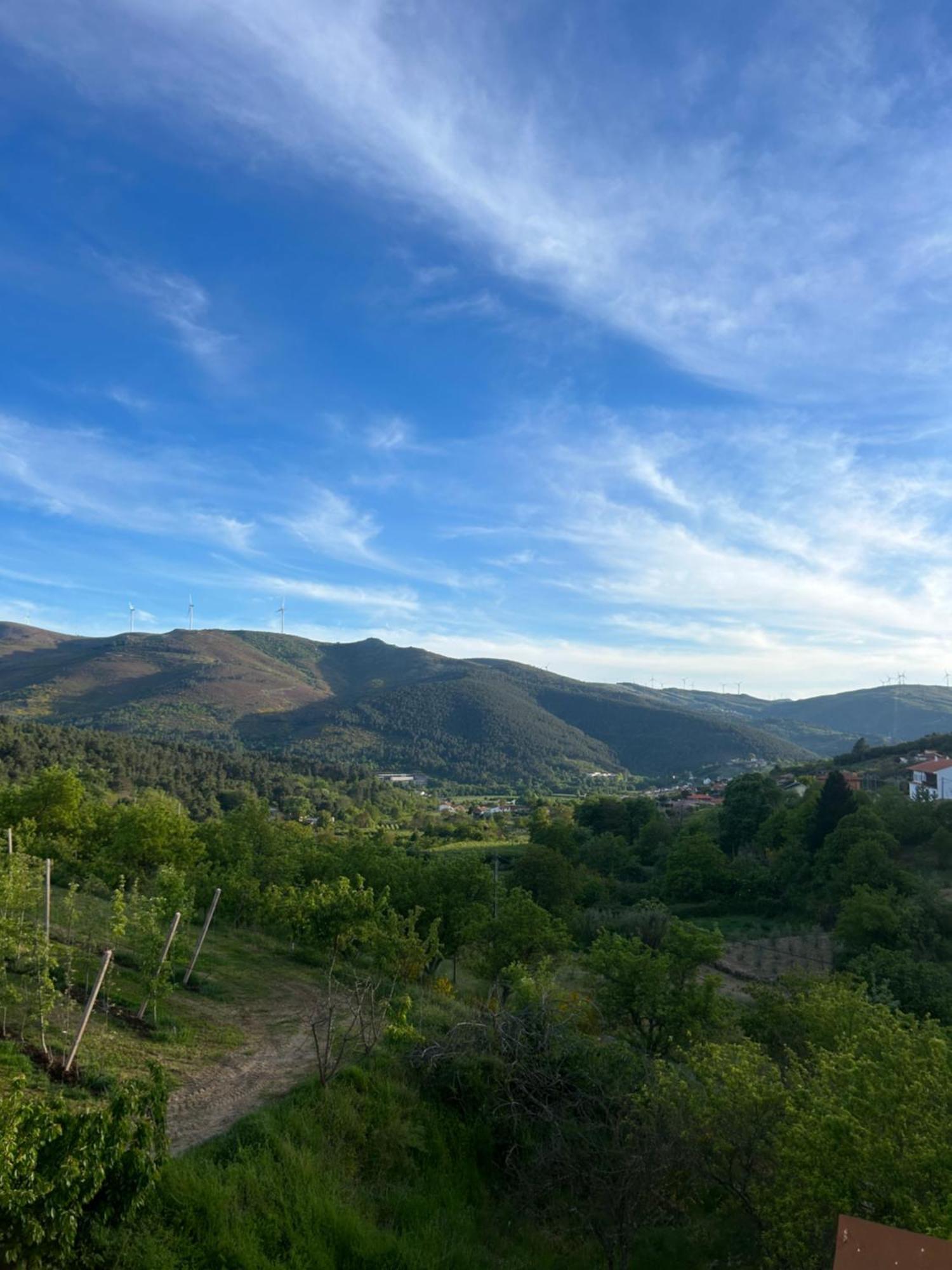 Casa Vicente Villa Lamego Eksteriør bilde