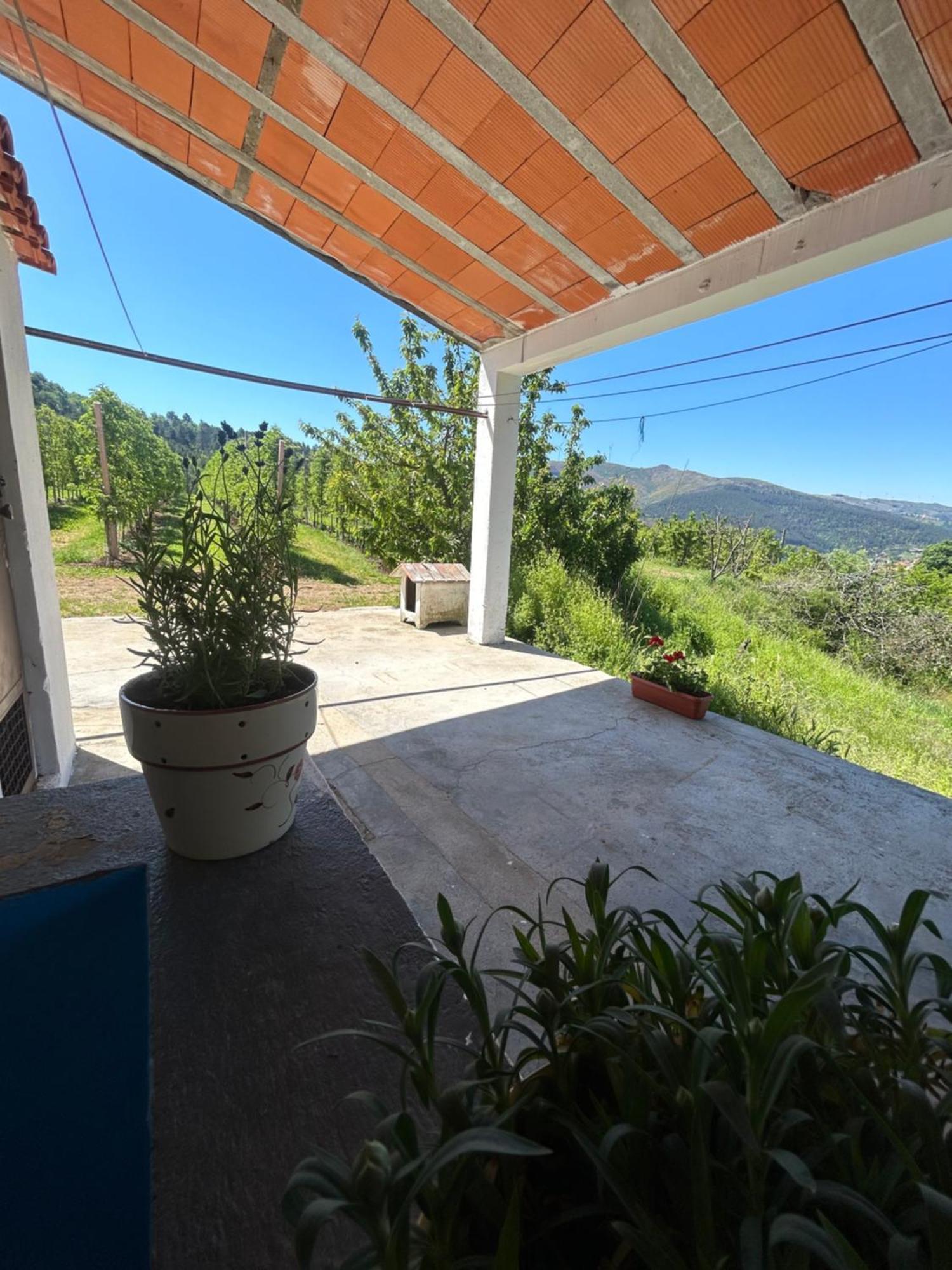 Casa Vicente Villa Lamego Eksteriør bilde