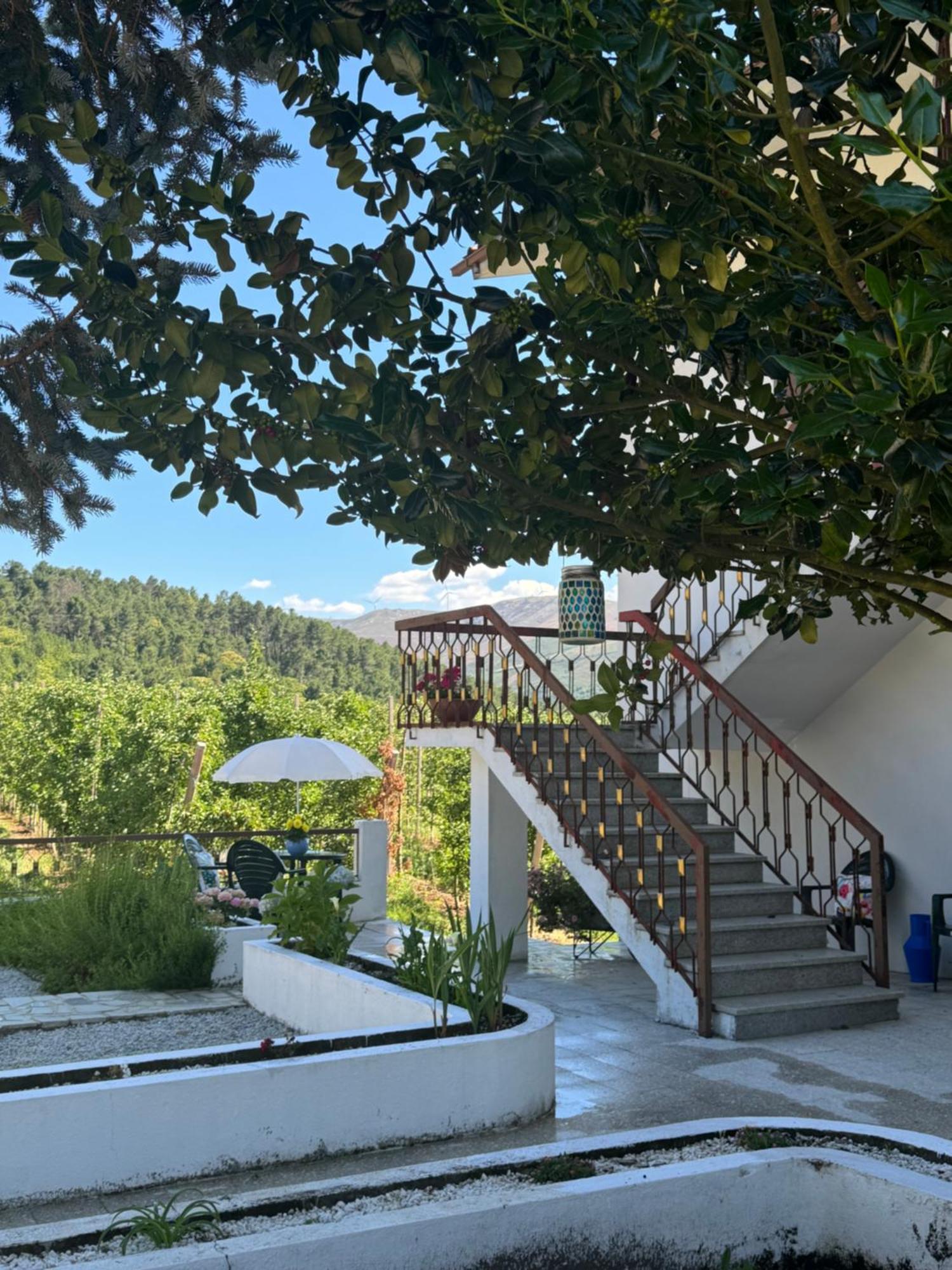 Casa Vicente Villa Lamego Eksteriør bilde