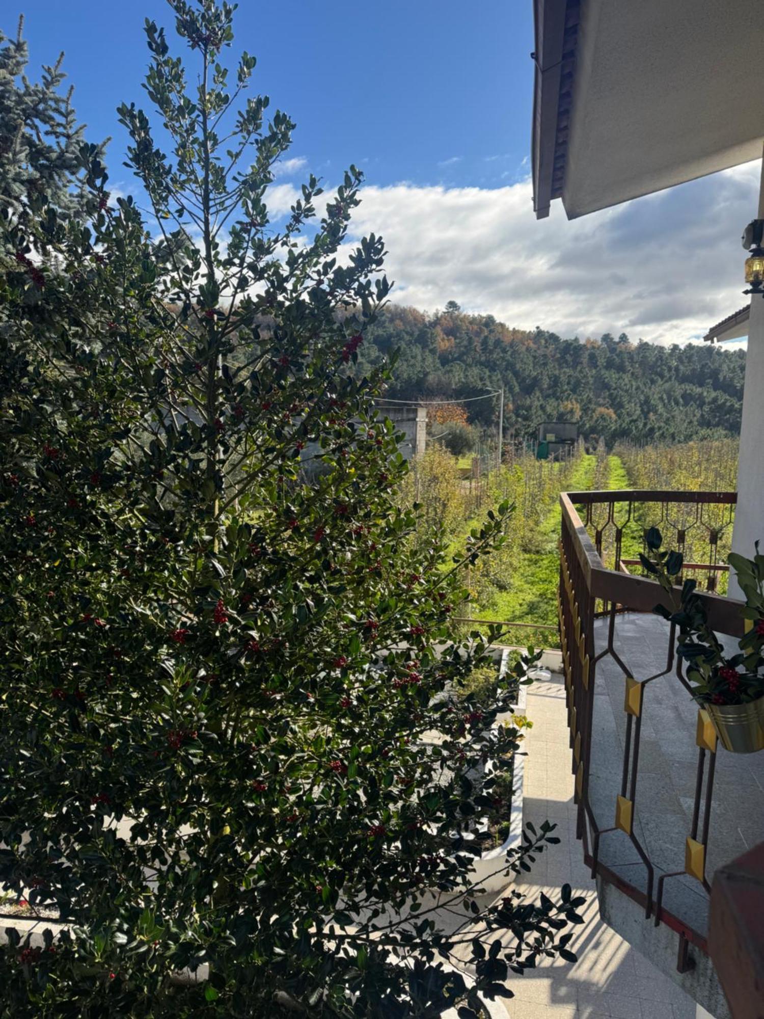 Casa Vicente Villa Lamego Eksteriør bilde